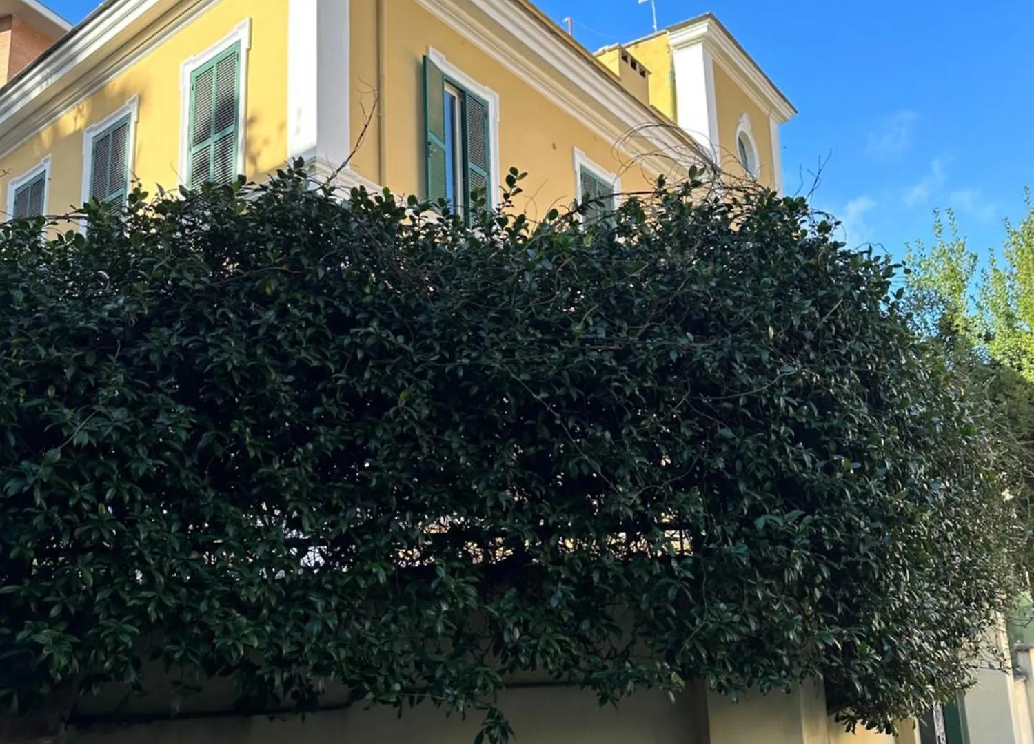 The Vatican Jungle Loft Con Giardino Vicino Al Vaticano Apartment Rome 0*,