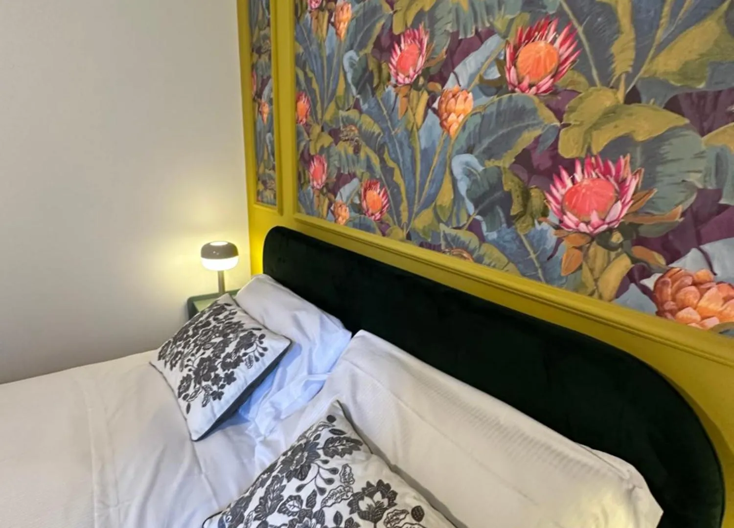 The Vatican Jungle Loft Con Giardino Vicino Al Vaticano Apartment Rome